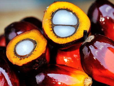 Palm Oil